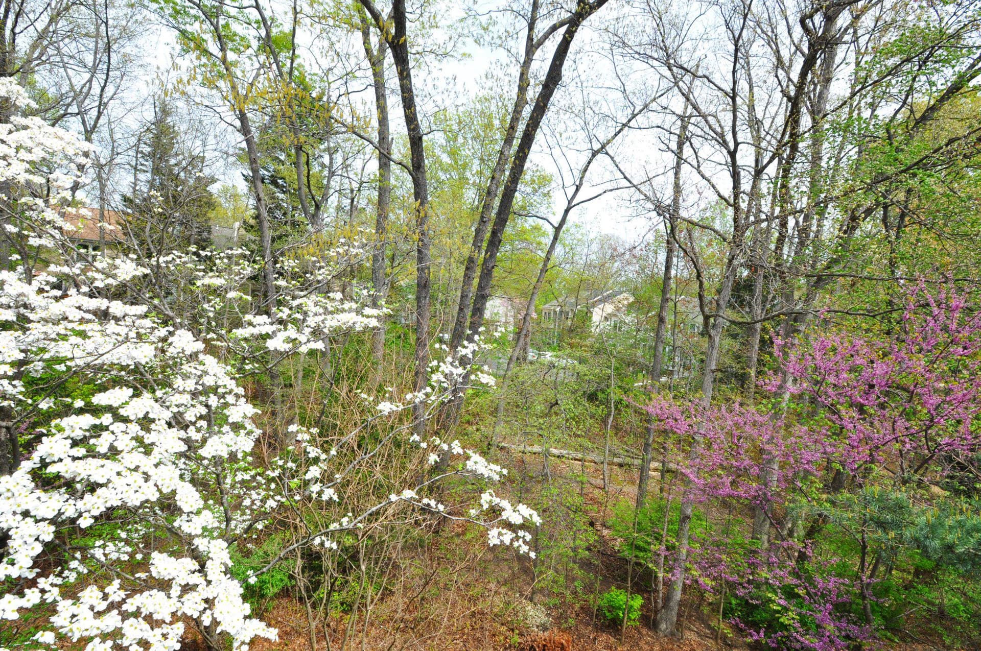 1659 Parkcrest Circle #c photo 8