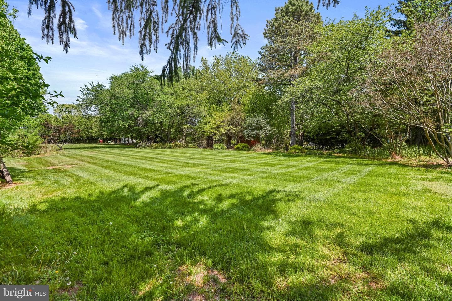 1167 Silver Beech Road photo 65