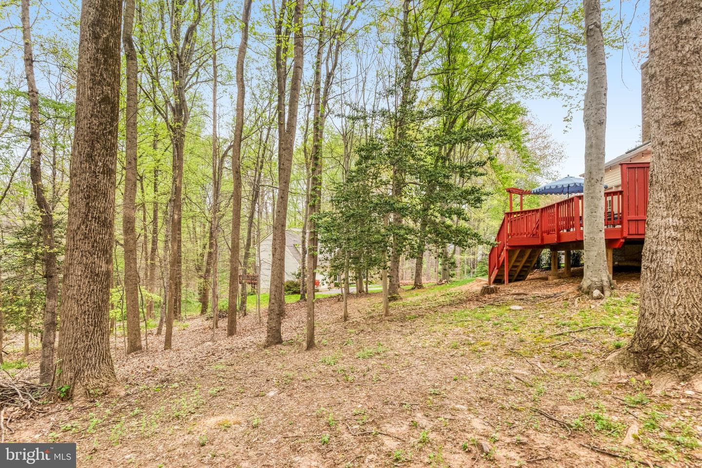 11109 Robert Carter Road photo 57