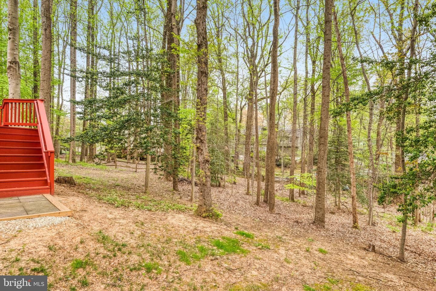 11109 Robert Carter Road photo 58