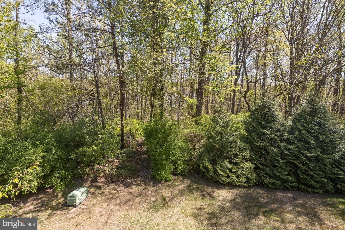 6611 Dunwich Way photo 19