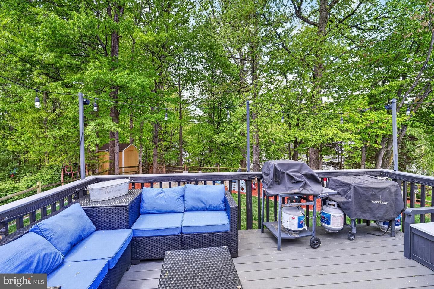 8373 Magic Leaf Road photo 63