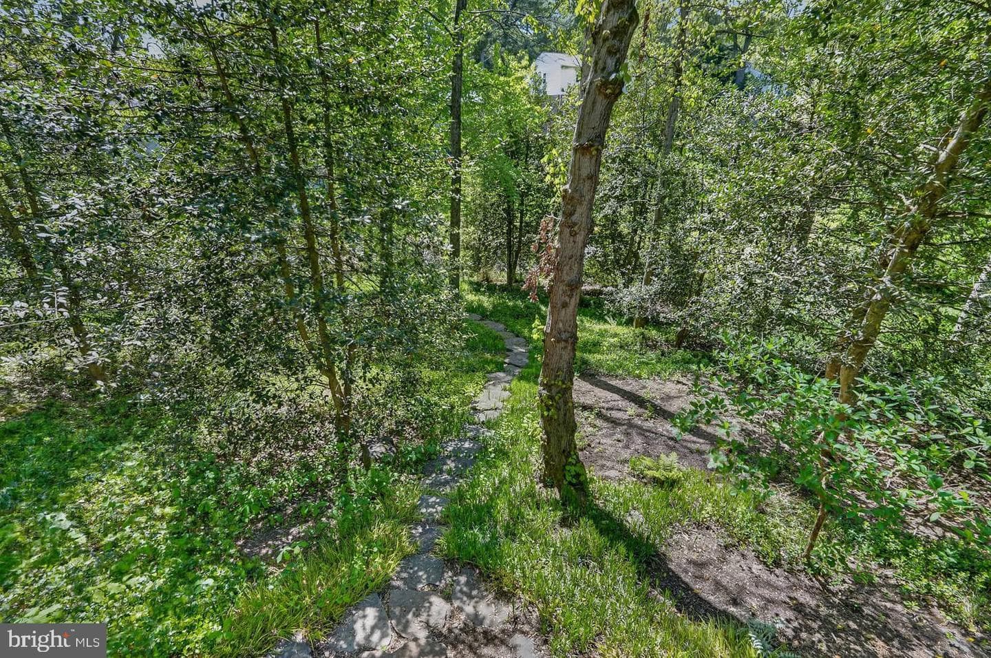 9431 Talisman Drive photo 50
