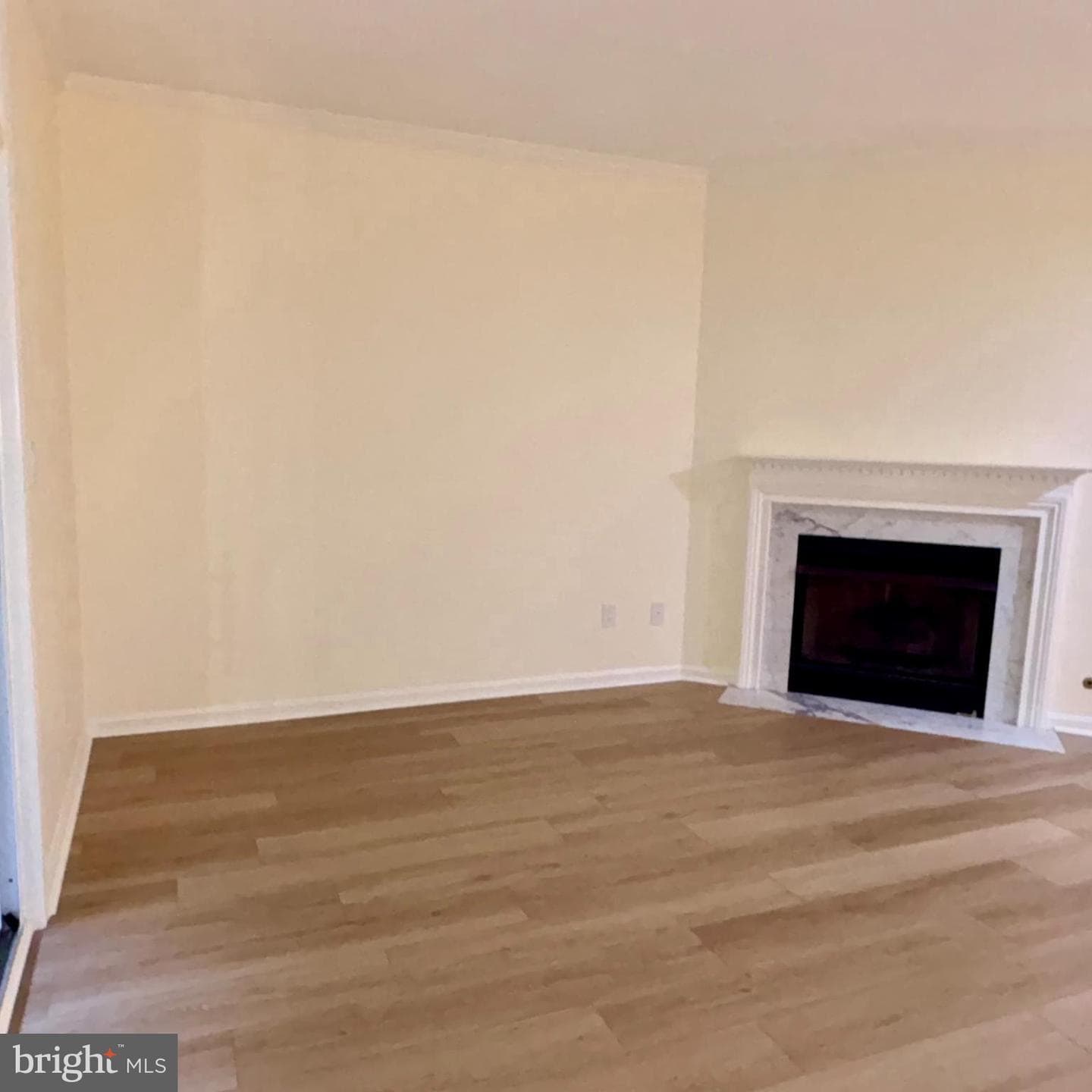 8183 Carnegie Hall Court #109 photo 10