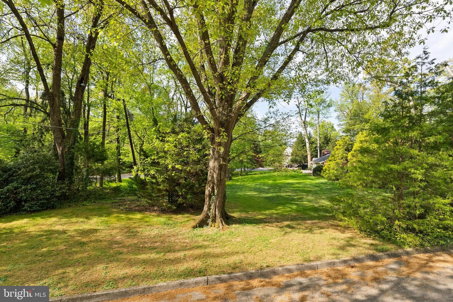 7616 Admiral Drive photo 8