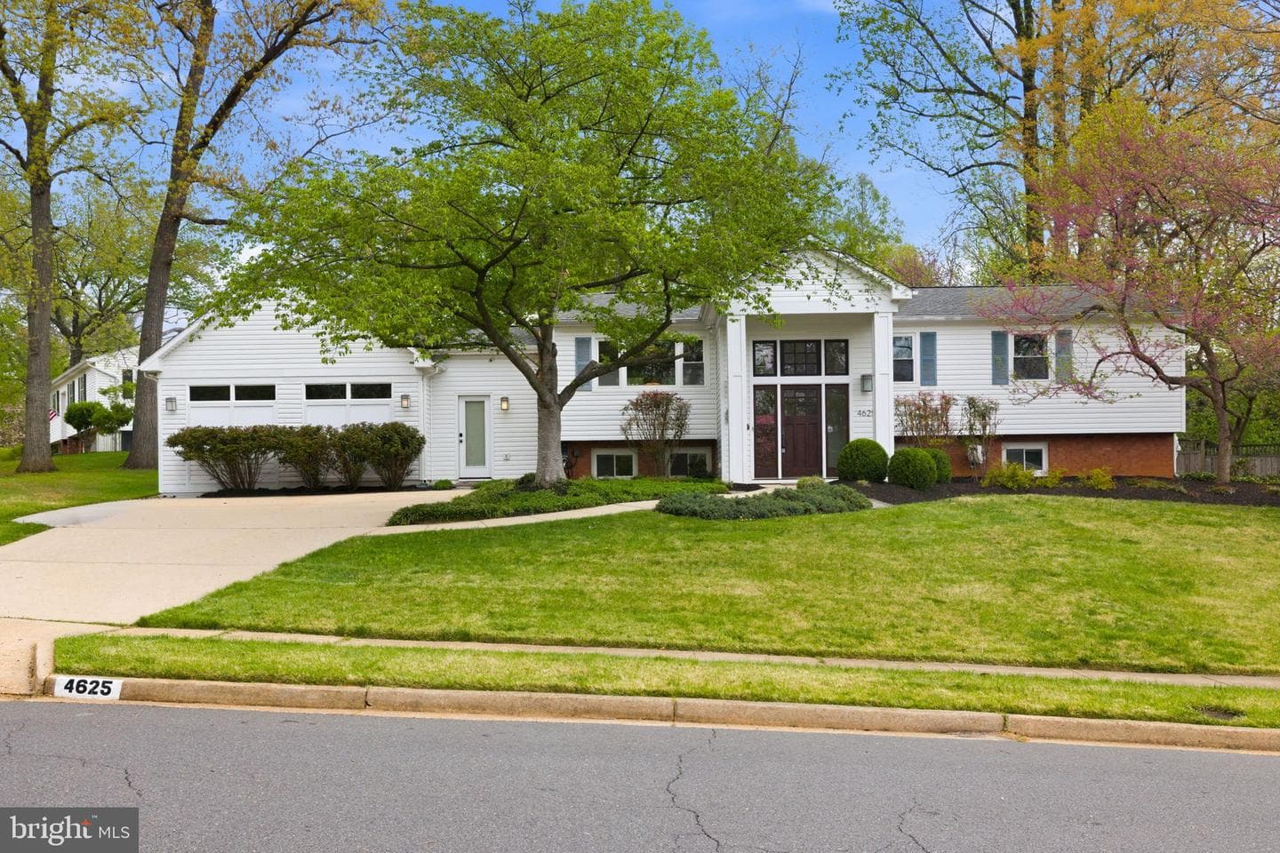 4625 Valerie Court photo 3