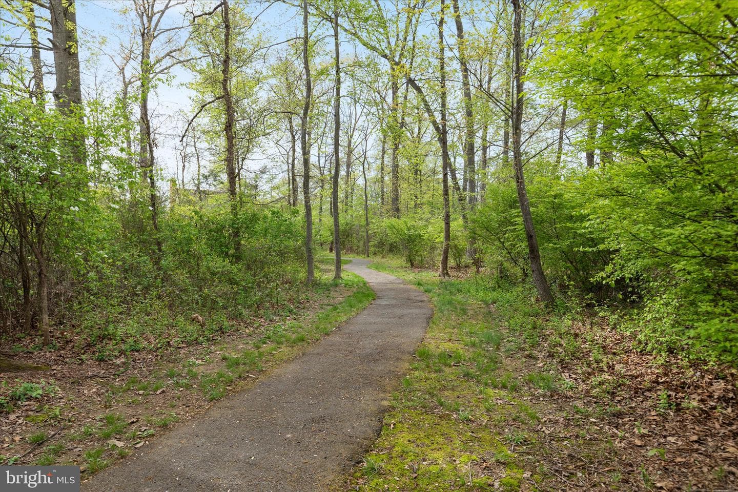 13113 Nestlewood Court photo 46