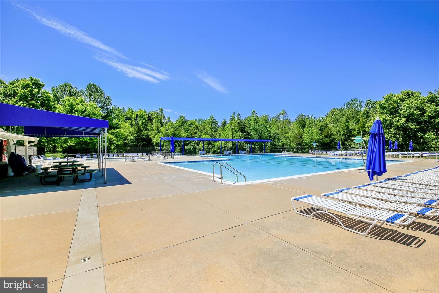 13113 Nestlewood Court photo 64