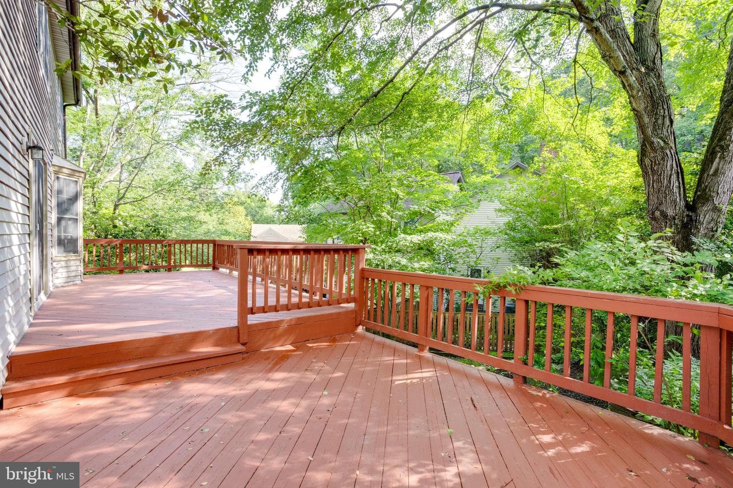9202 Dorothy Lane photo 4