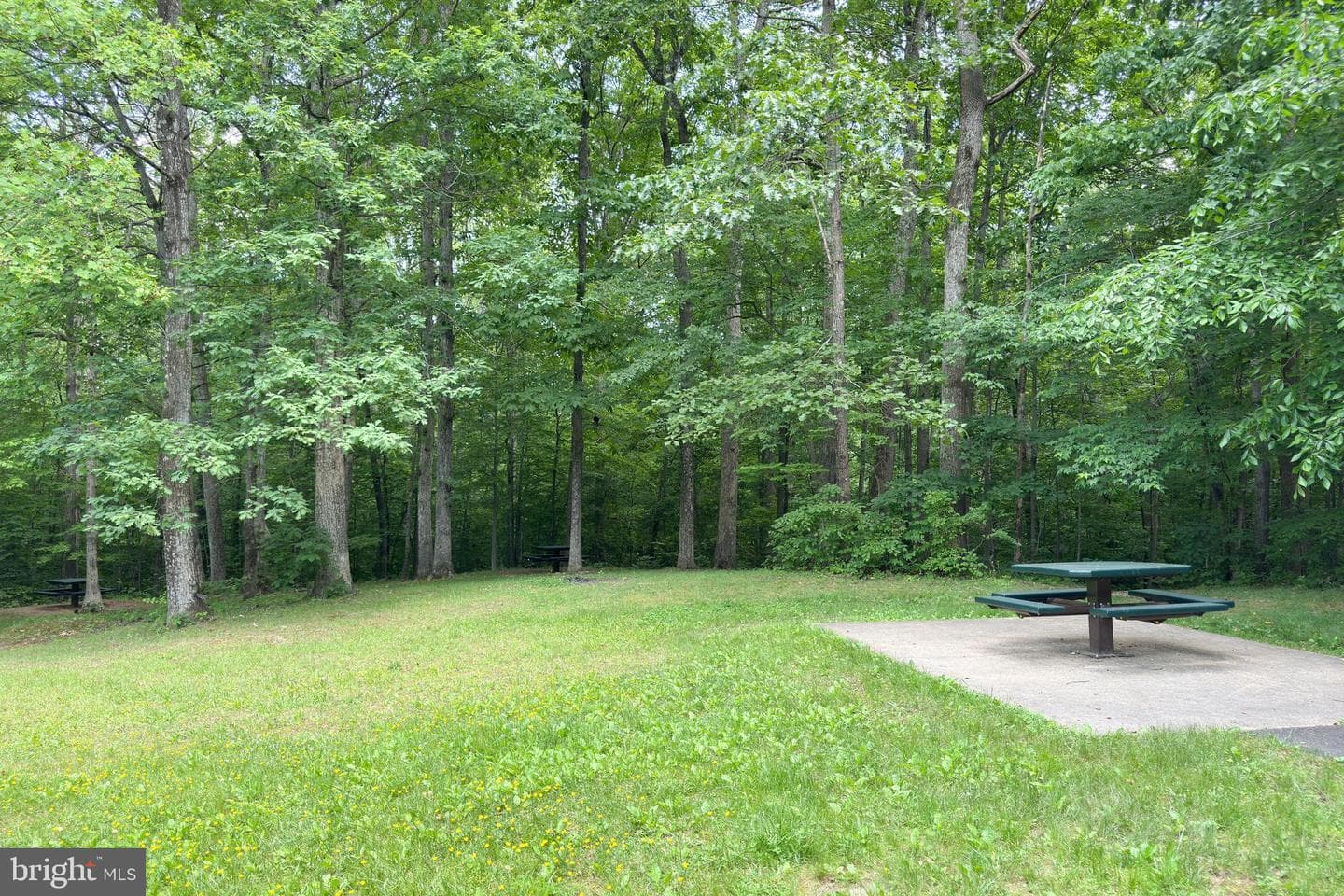 9202 Dorothy Lane photo 69