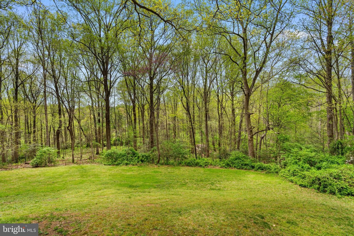 10505 Adel Road photo 27