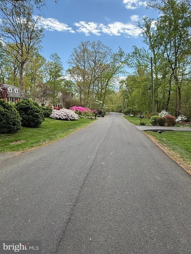 5810 Hall Street photo 12