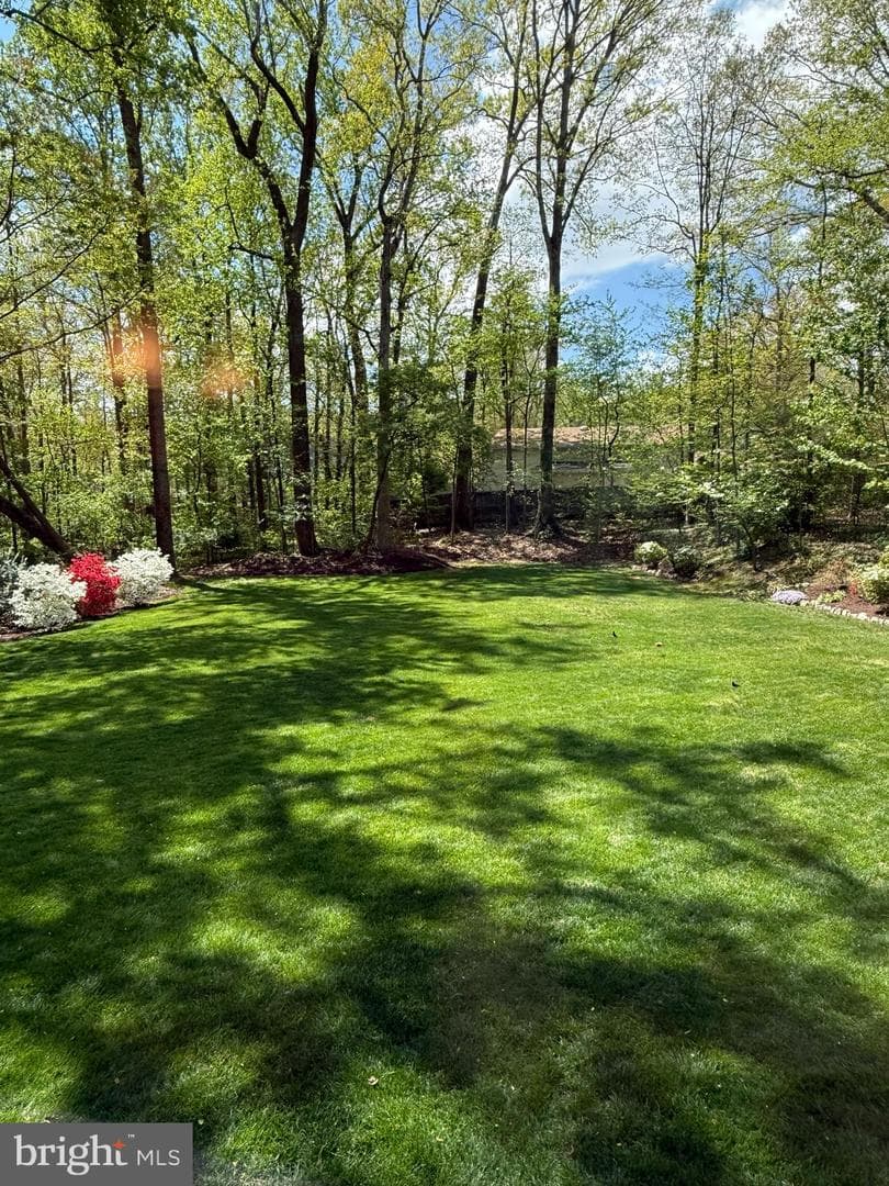 5810 Hall Street photo 44