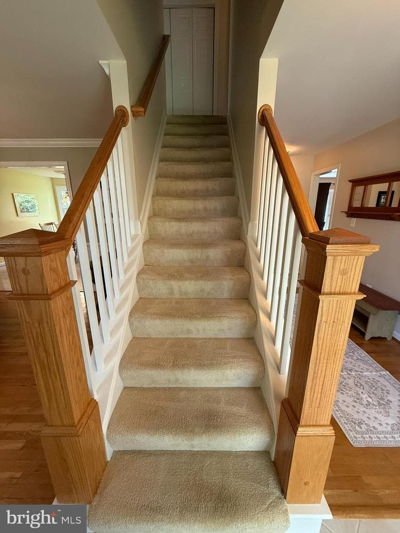 5810 Hall Street photo 46
