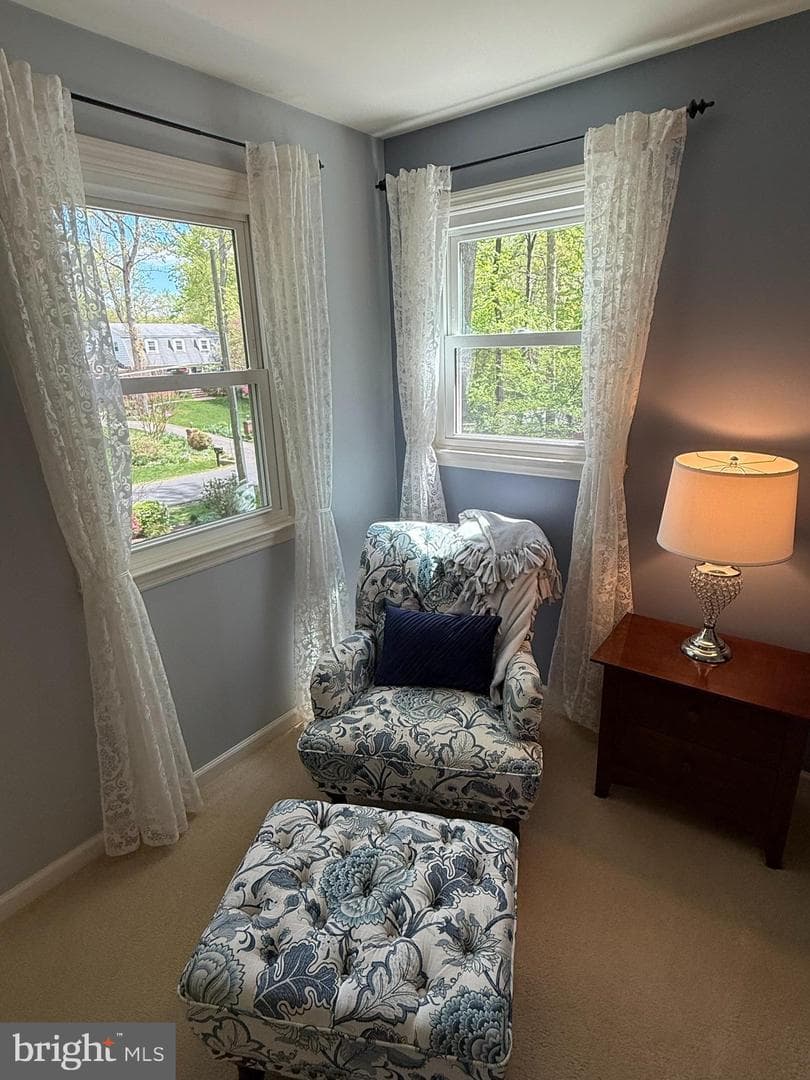 5810 Hall Street photo 47
