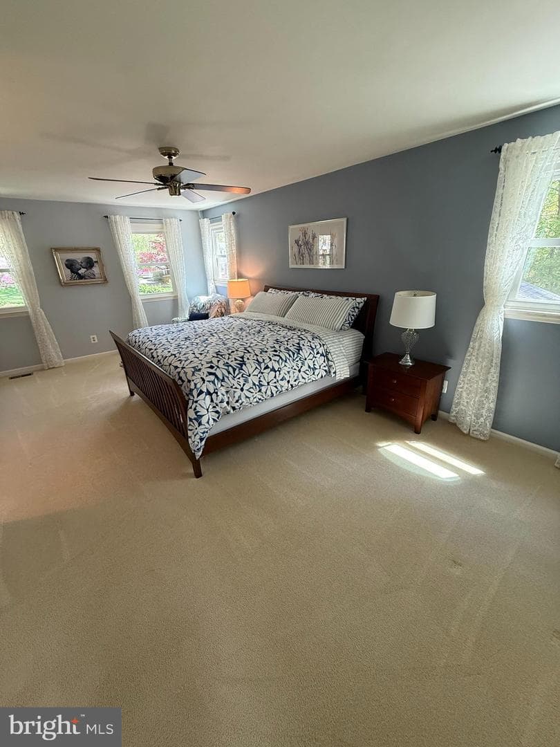 5810 Hall Street photo 48