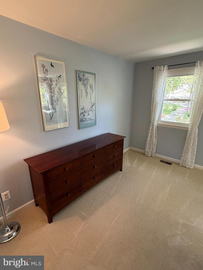 5810 Hall Street photo 49