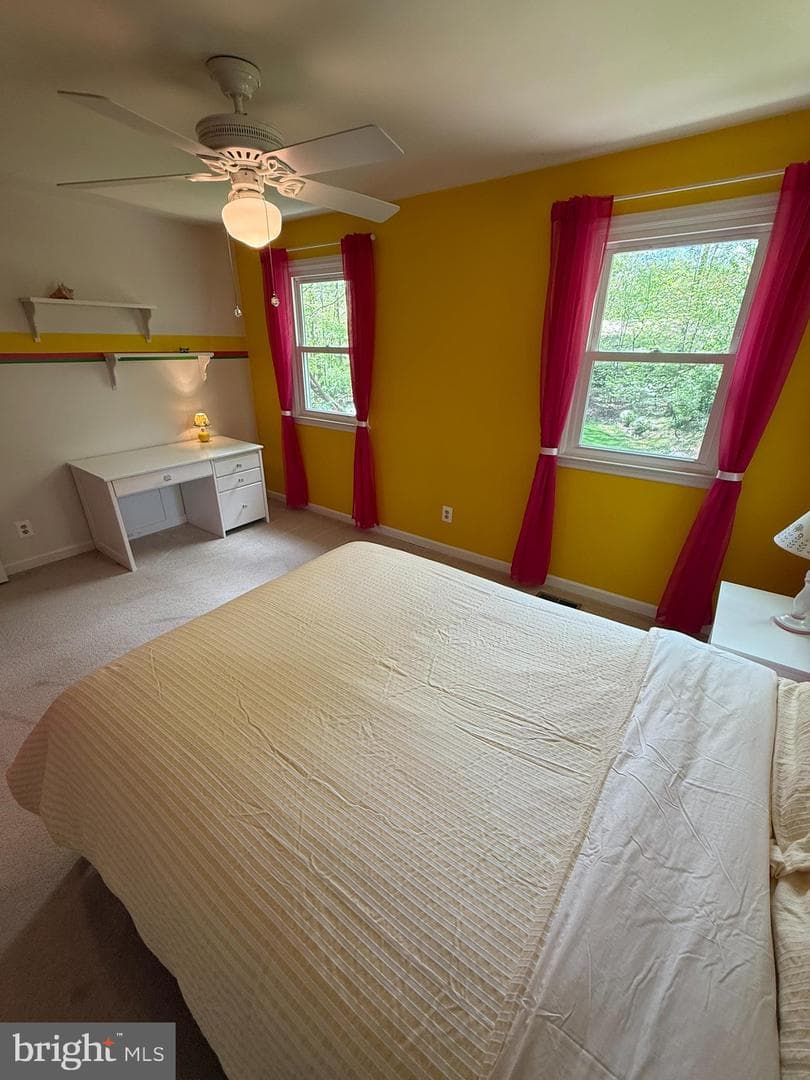 5810 Hall Street photo 69