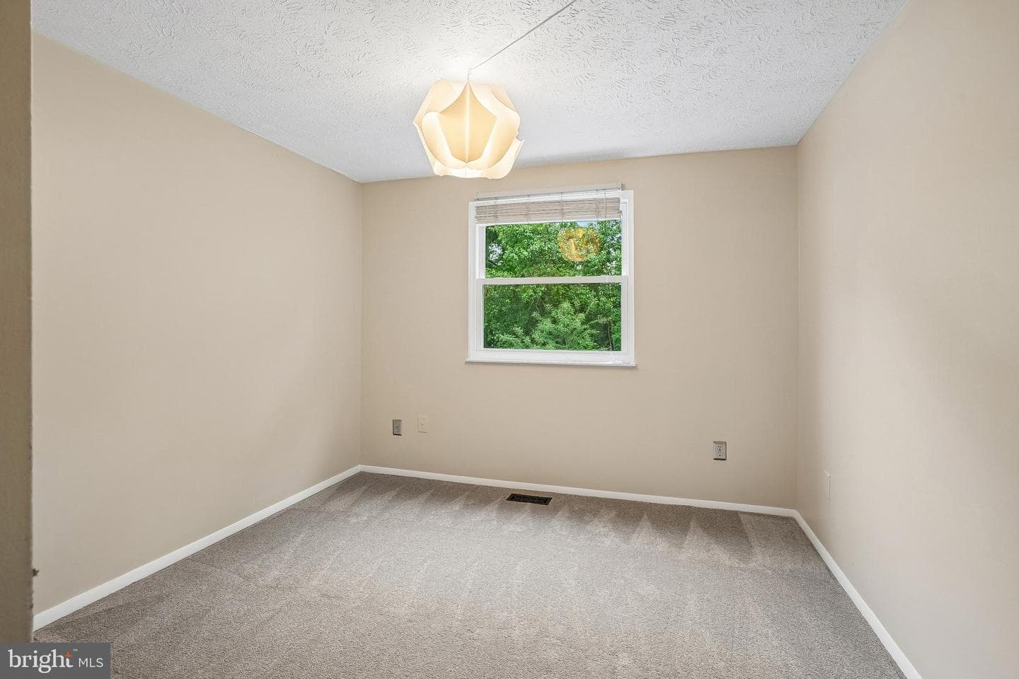 8236 Claremont Woods Drive photo 22