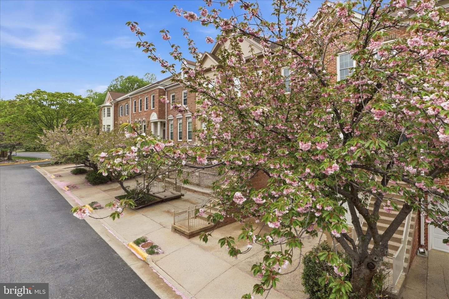 9566 Lagersfield Circle photo 30