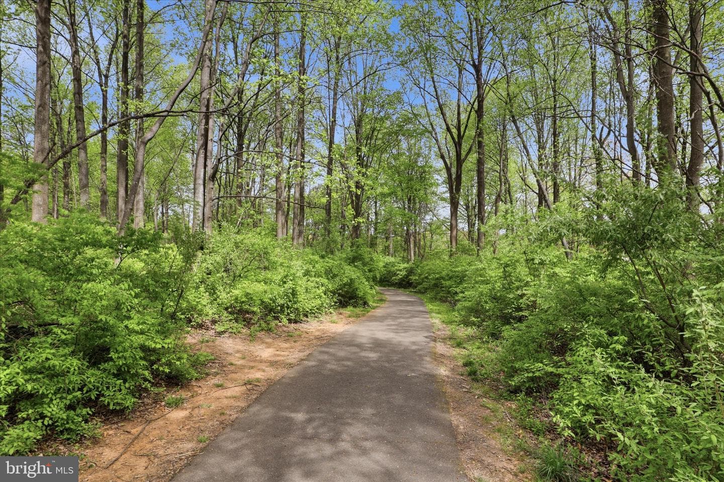 9566 Lagersfield Circle photo 35