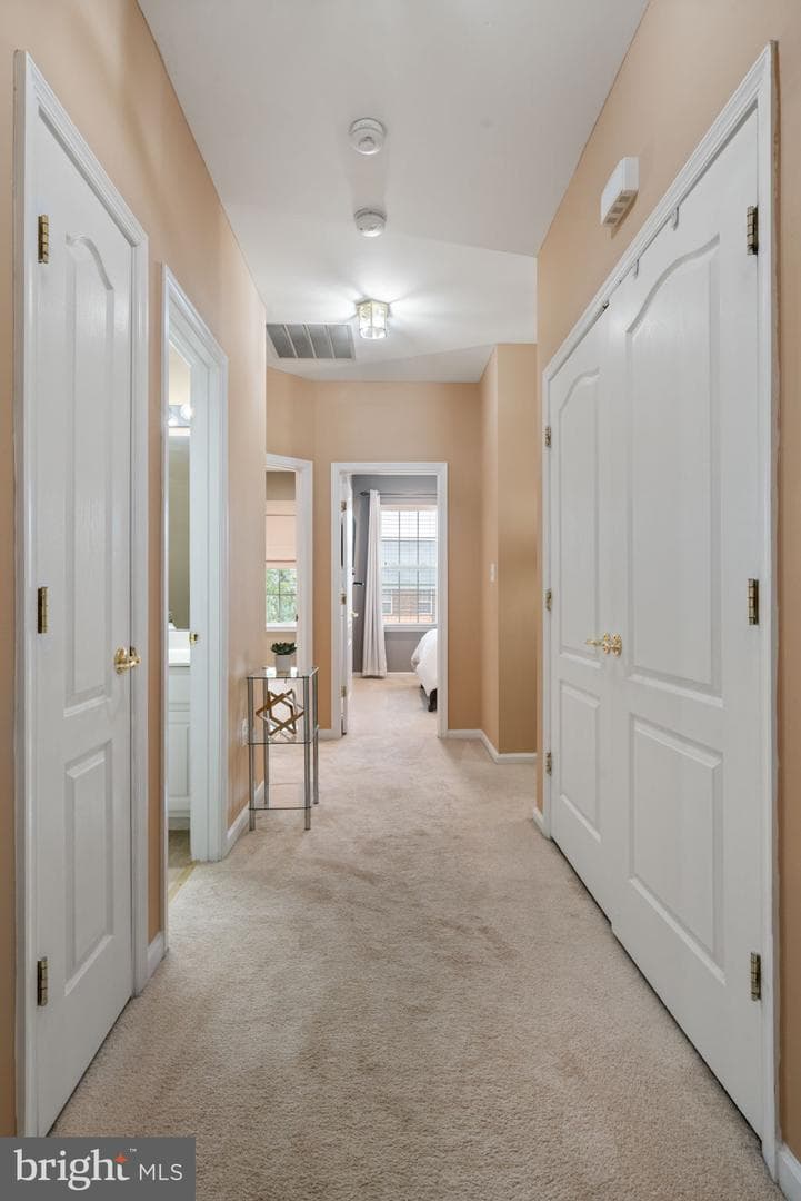 6737 Applemint Lane photo 29