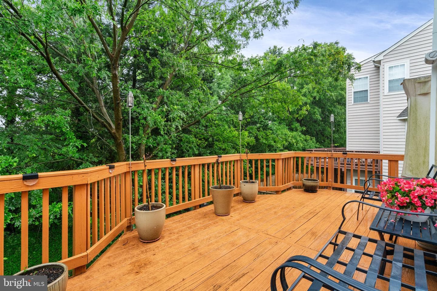 6737 Applemint Lane photo 38