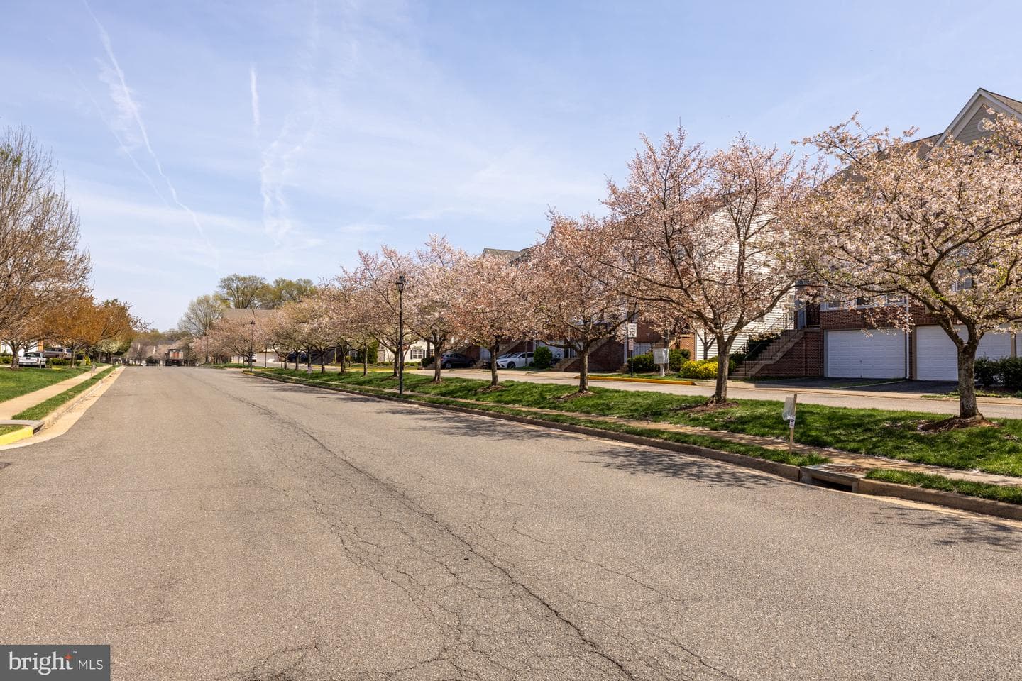 6737 Applemint Lane photo 45