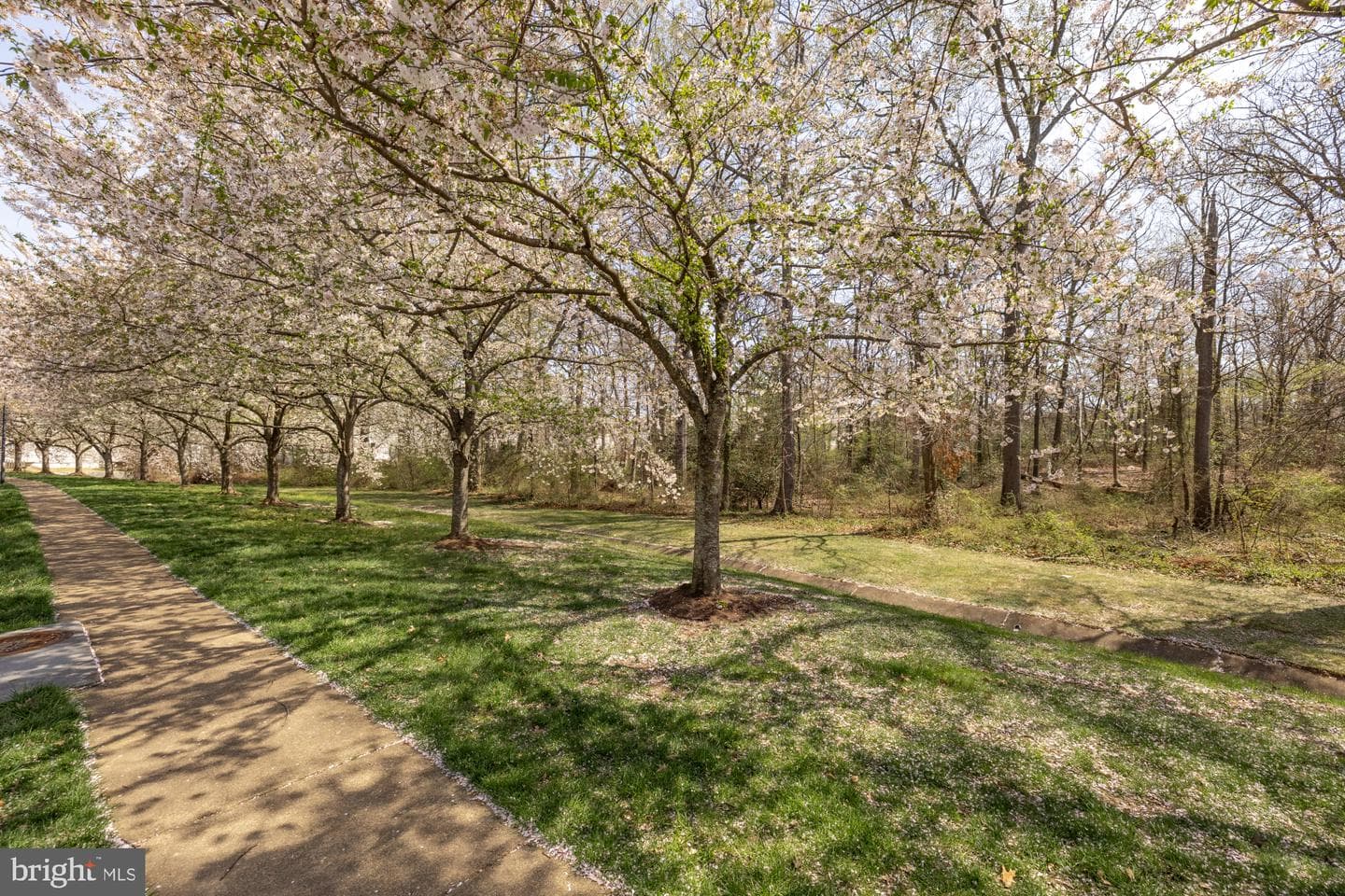 6737 Applemint Lane photo 46