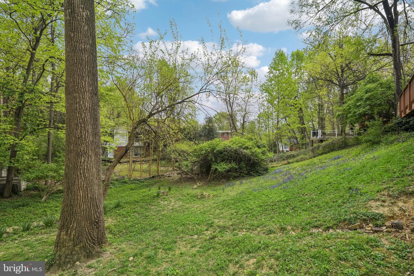 5817 Dawes Avenue photo 61