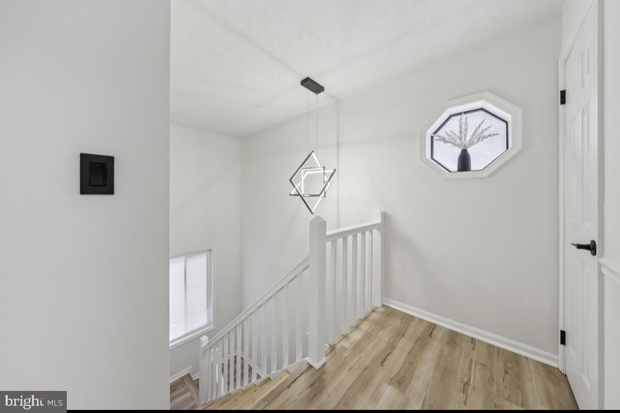 2209 Hunters Run Road photo 25