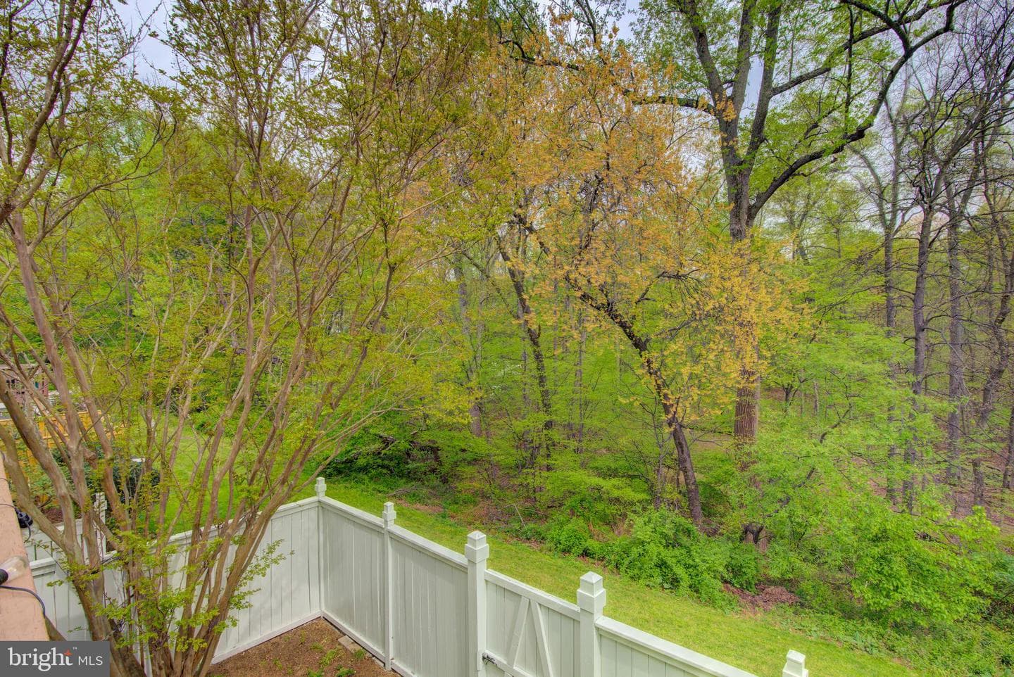 1552 Poplar Grove Drive photo 46