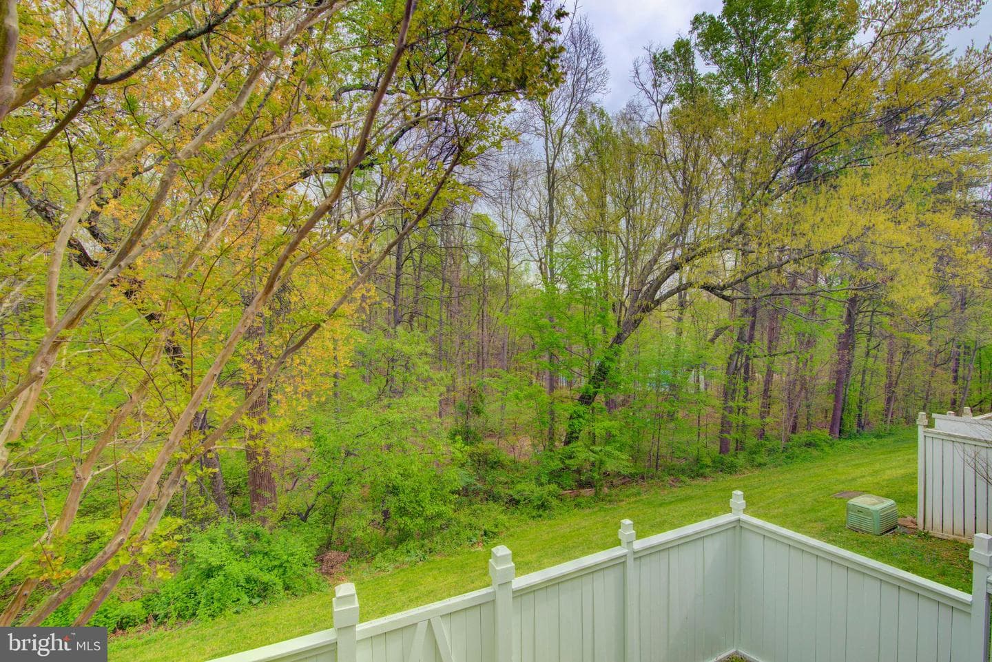 1552 Poplar Grove Drive photo 47
