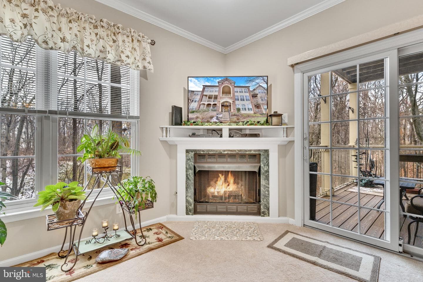 7706 Haynes Point Way #8f photo 5