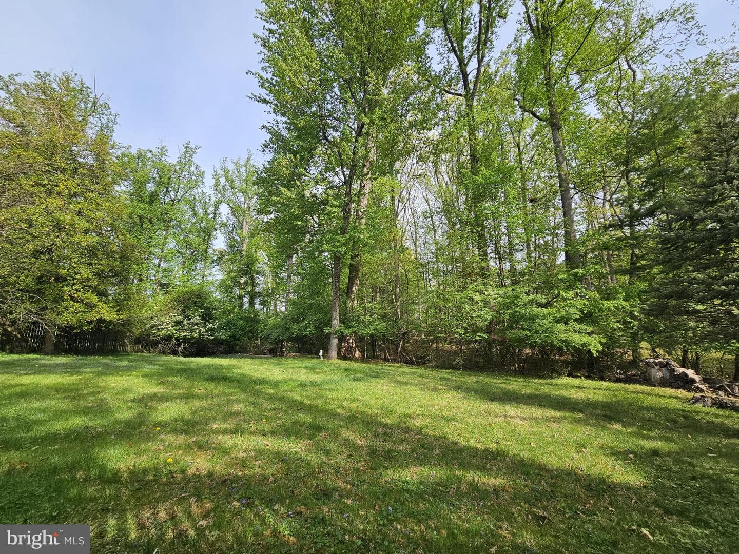 117 Kingsley Road SW photo 3