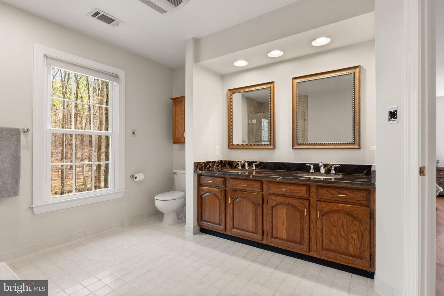 6823 Brimstone Lane photo 43