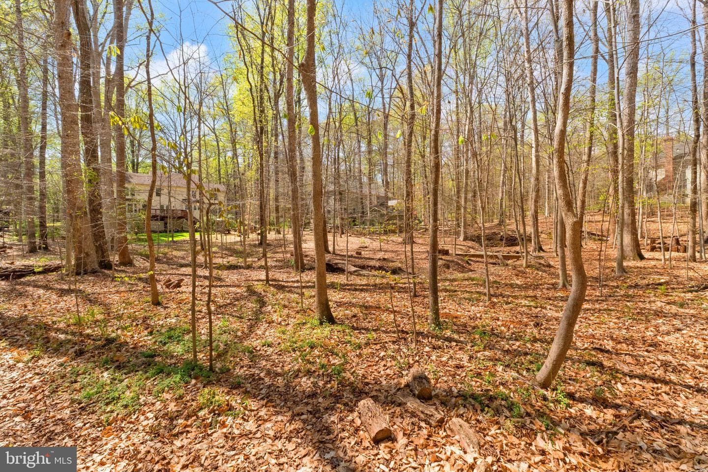 6823 Brimstone Lane photo 7
