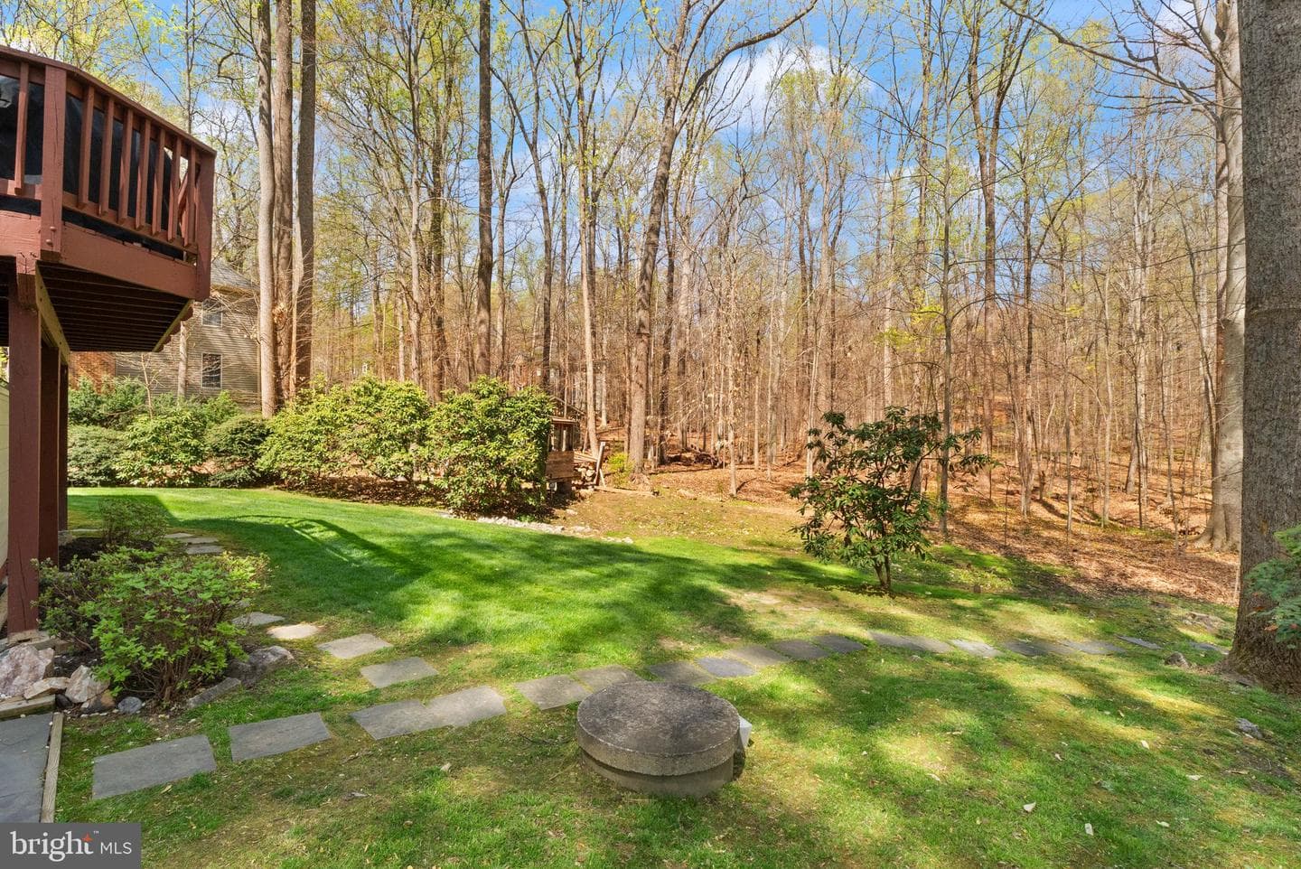 6823 Brimstone Lane photo 92
