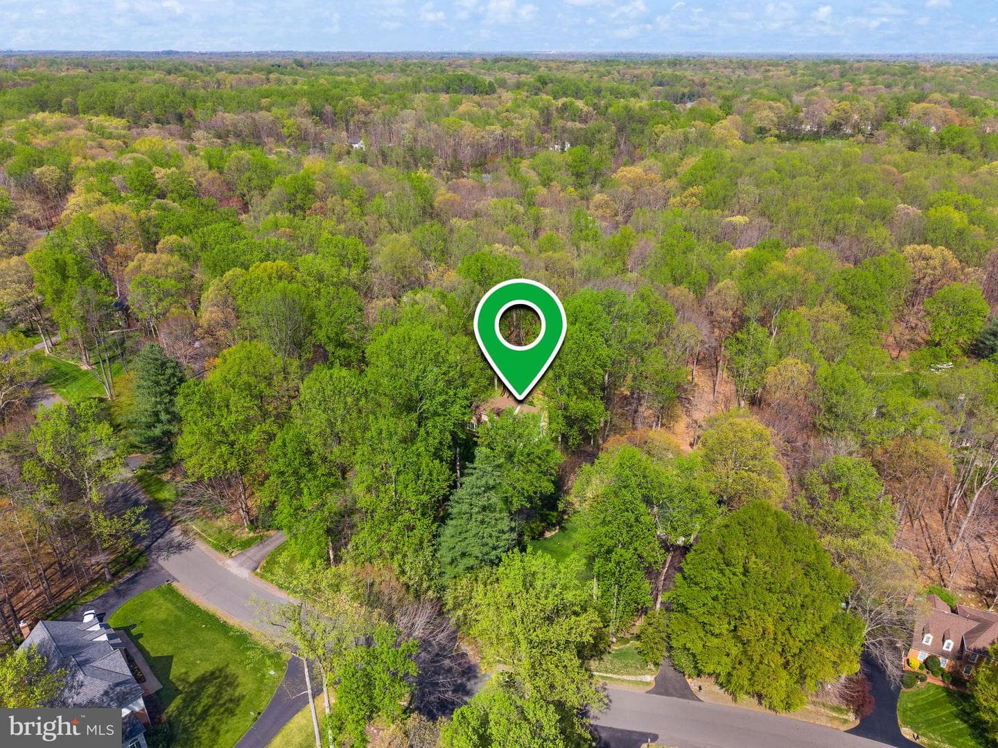6823 Brimstone Lane photo 98