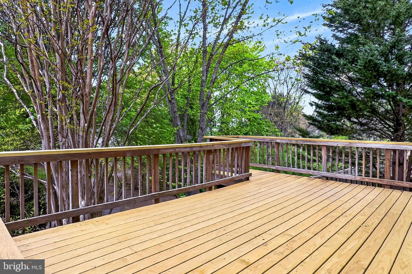 14210 Glade Spring Drive photo 37