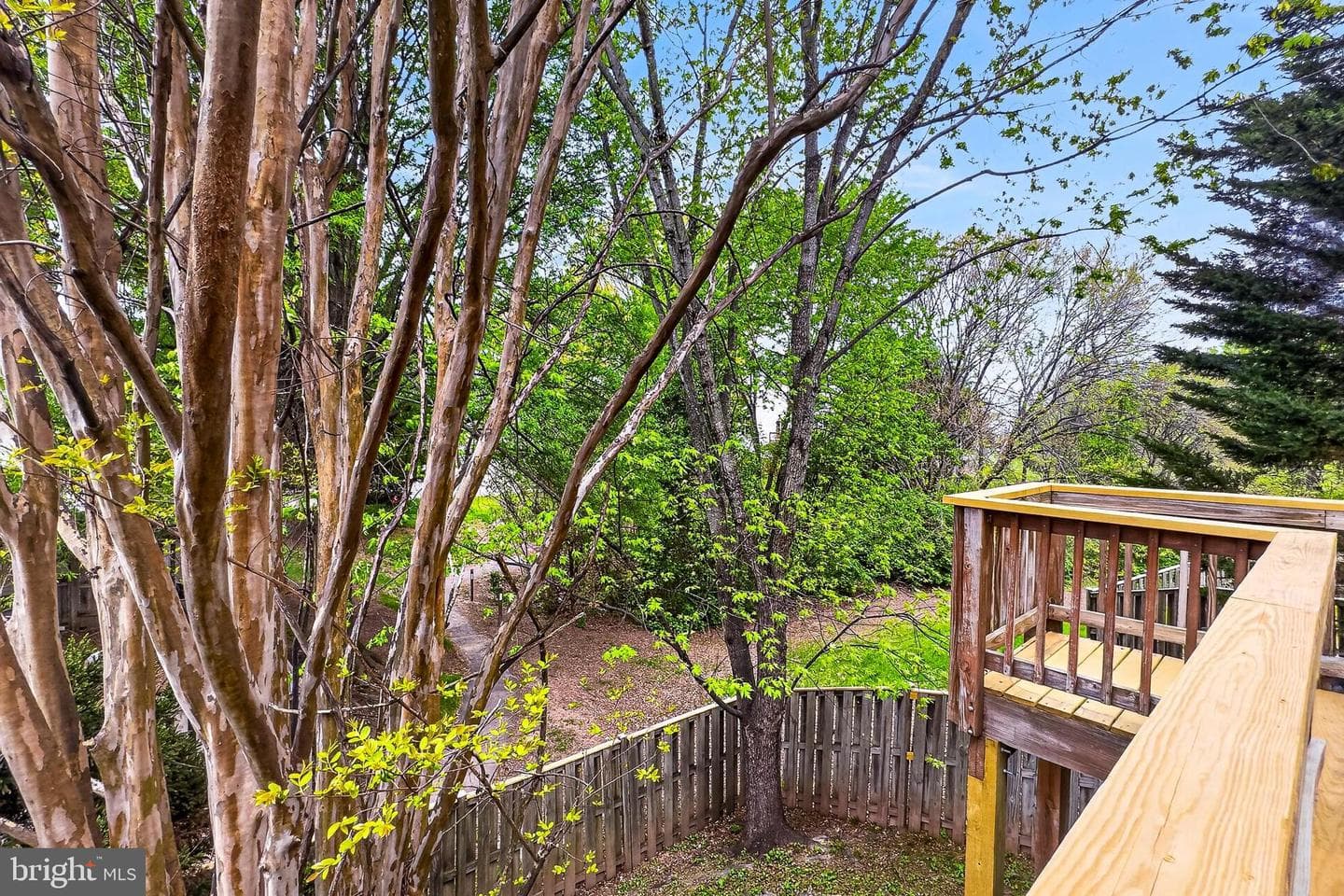 14210 Glade Spring Drive photo 41