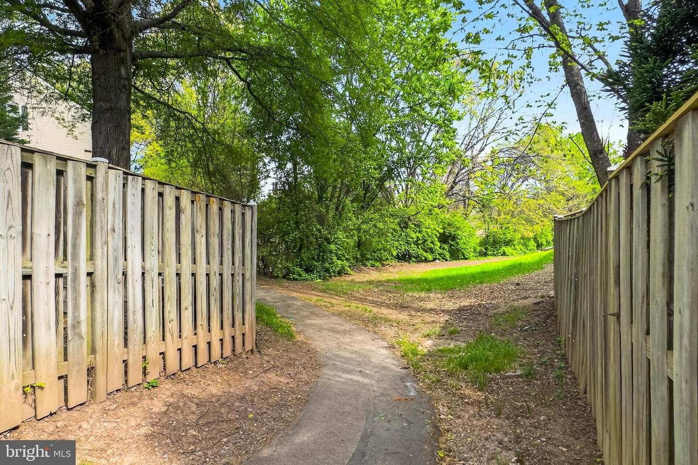 14210 Glade Spring Drive photo 48
