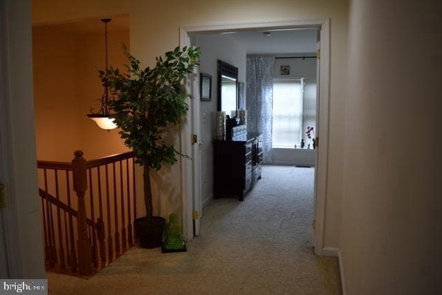 4707 Eggleston Terrace #112 photo 14