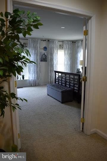 4707 Eggleston Terrace #112 photo 15
