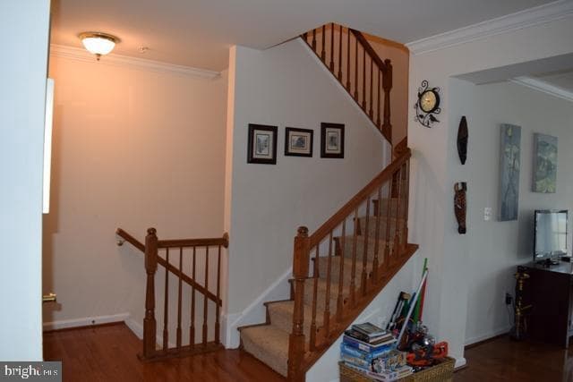 4707 Eggleston Terrace #112 photo 8