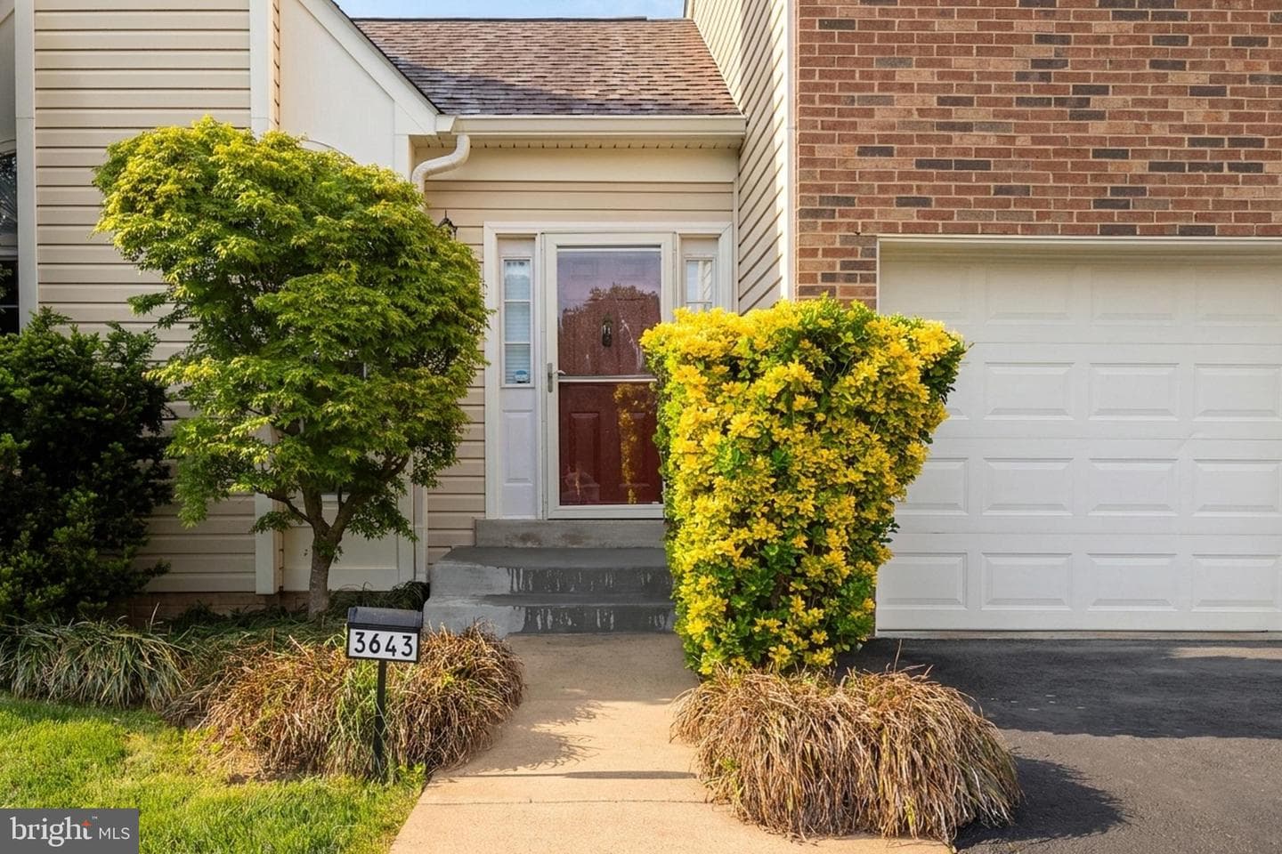 3643 Paoli Court photo 3
