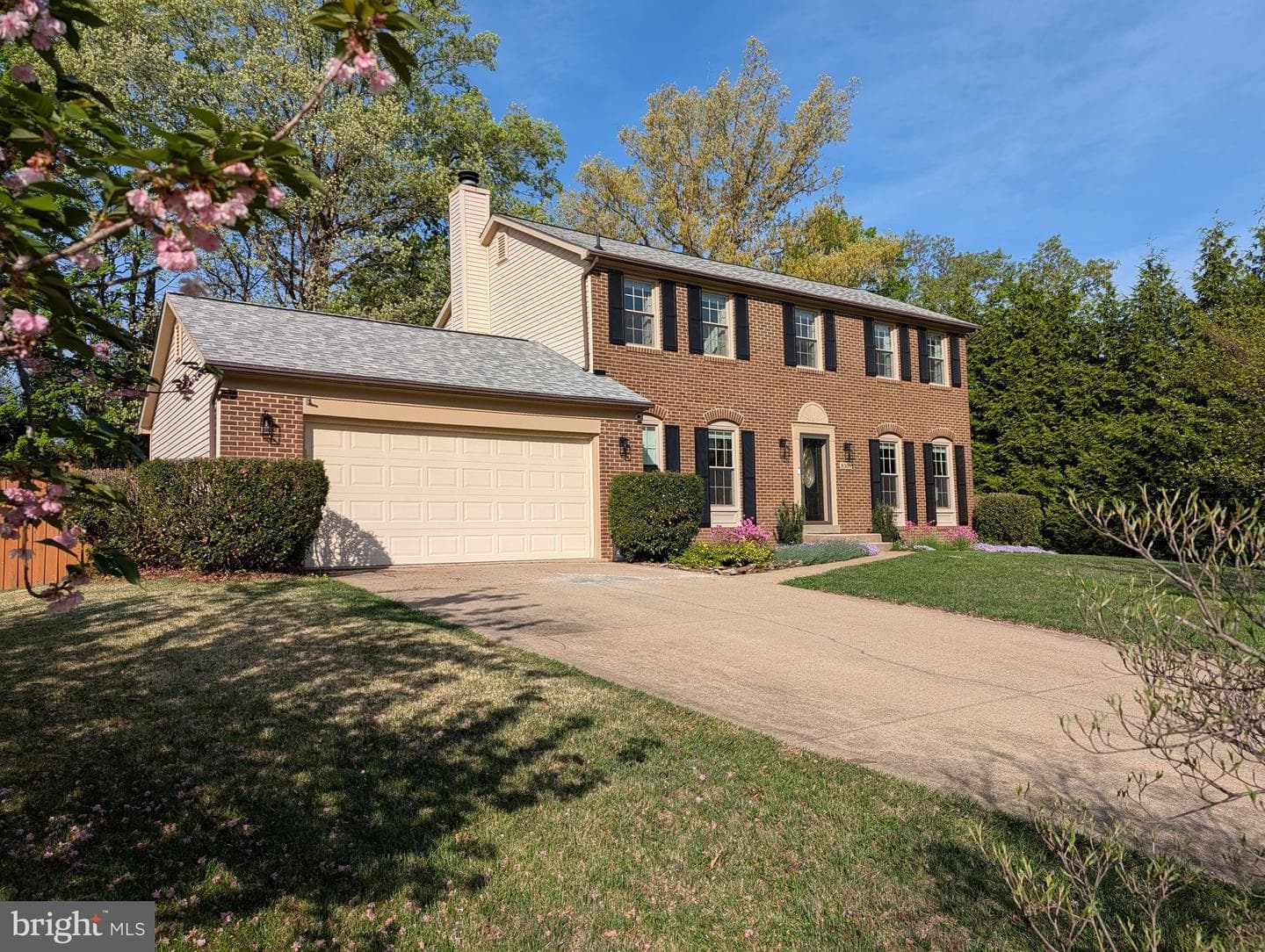 8309 Timber Brook Lane photo 2