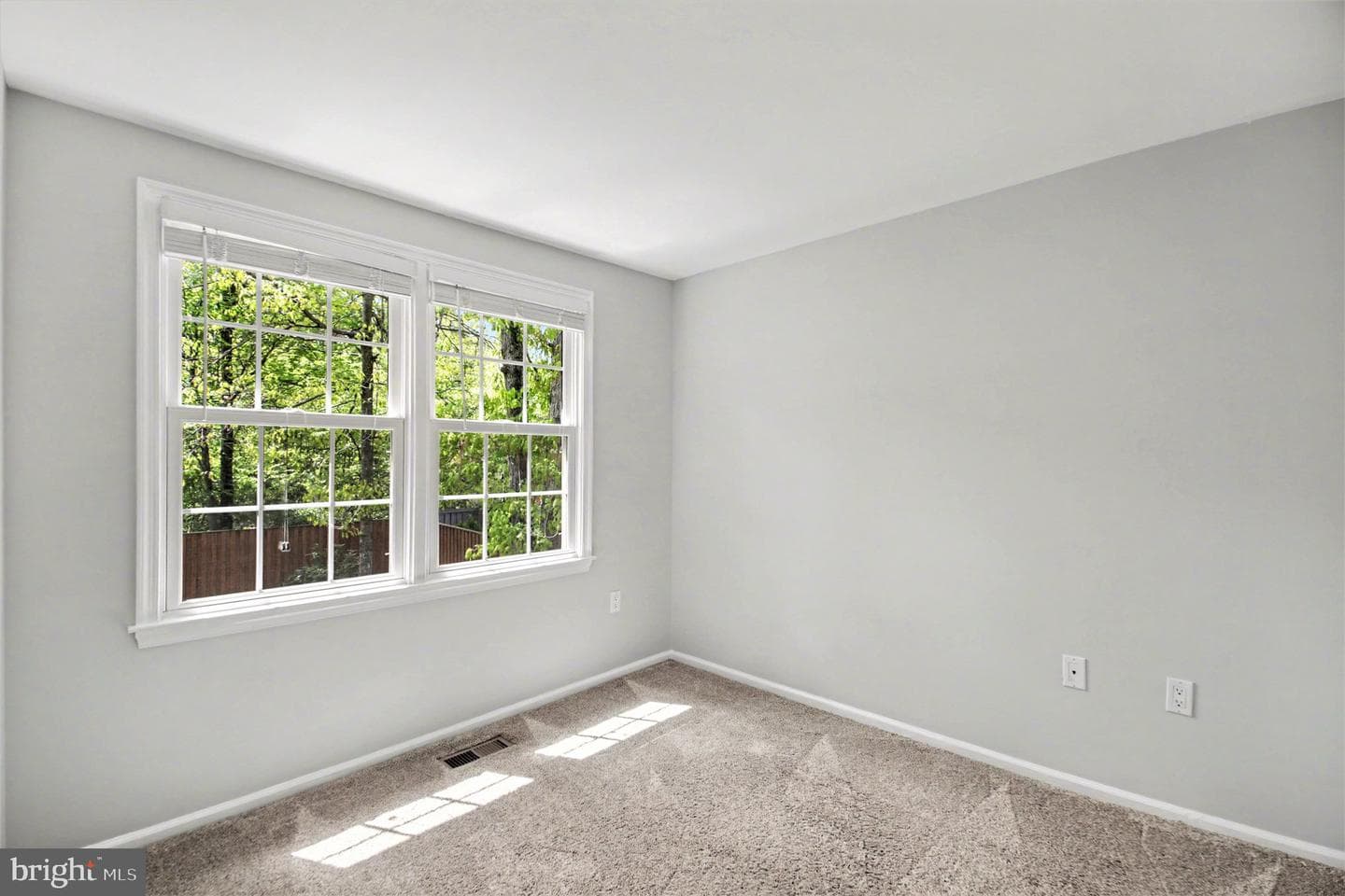8309 Timber Brook Lane photo 26