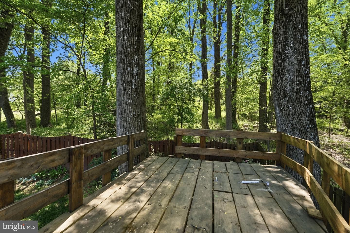 1731 Key West Lane photo 38
