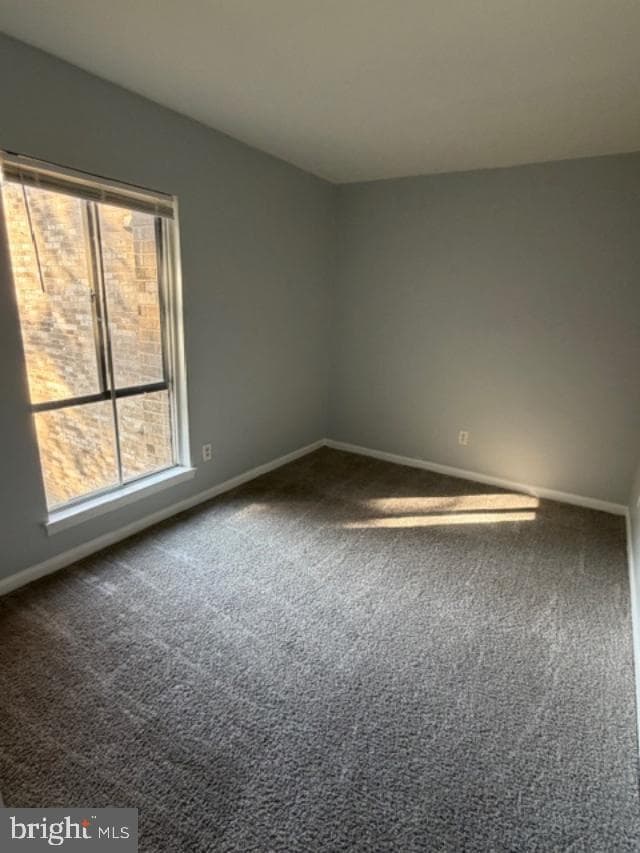 2311 Freetown Court #19/21c photo 10